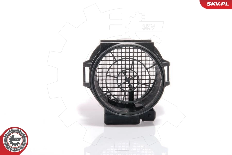 Mass Air Flow Sensor